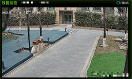 Illegal waste disposal scene