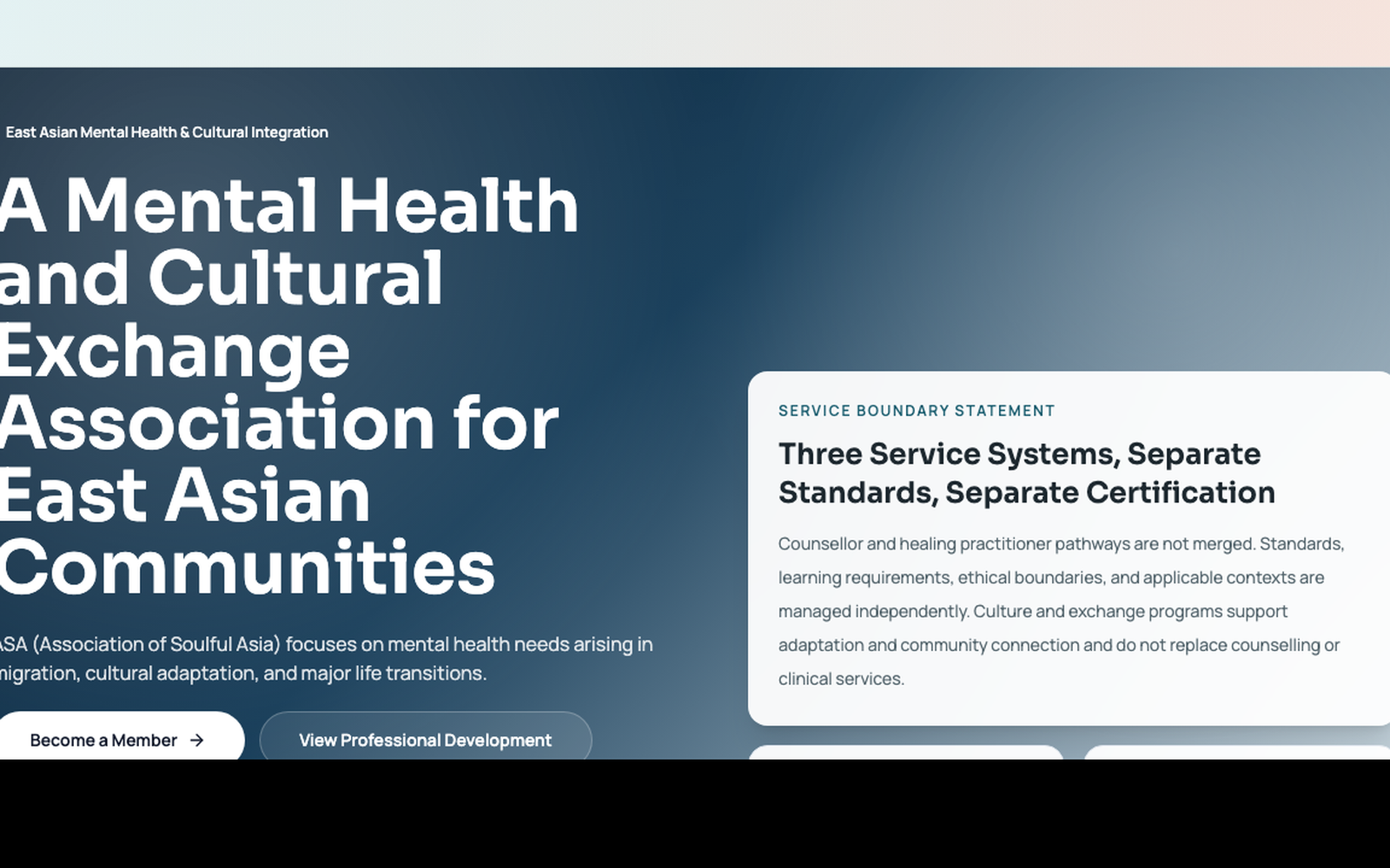 Real website screenshot for Soulful Asia service platform case study
